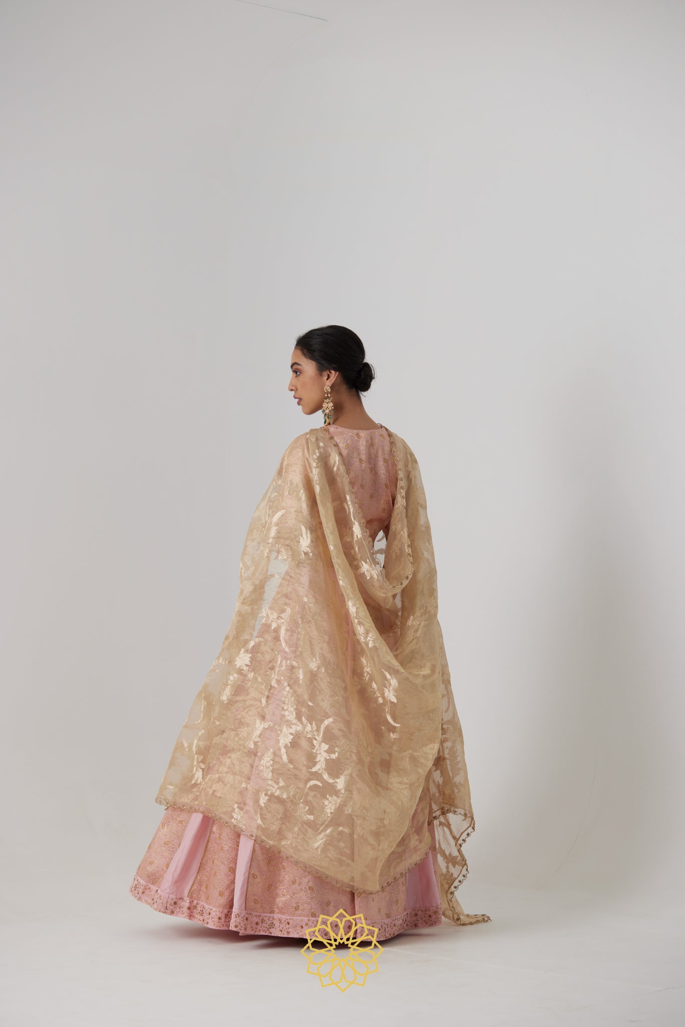 Aachal - Soft pink handcrafted panelled benarasi silk brocade and pure silk lehenga with soft pink benarasi silk brocade blouse