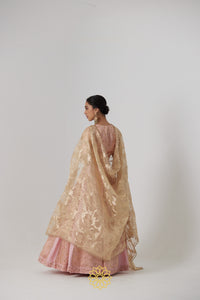 Aachal - Soft pink handcrafted panelled benarasi silk brocade and pure silk lehenga with soft pink benarasi silk brocade blouse