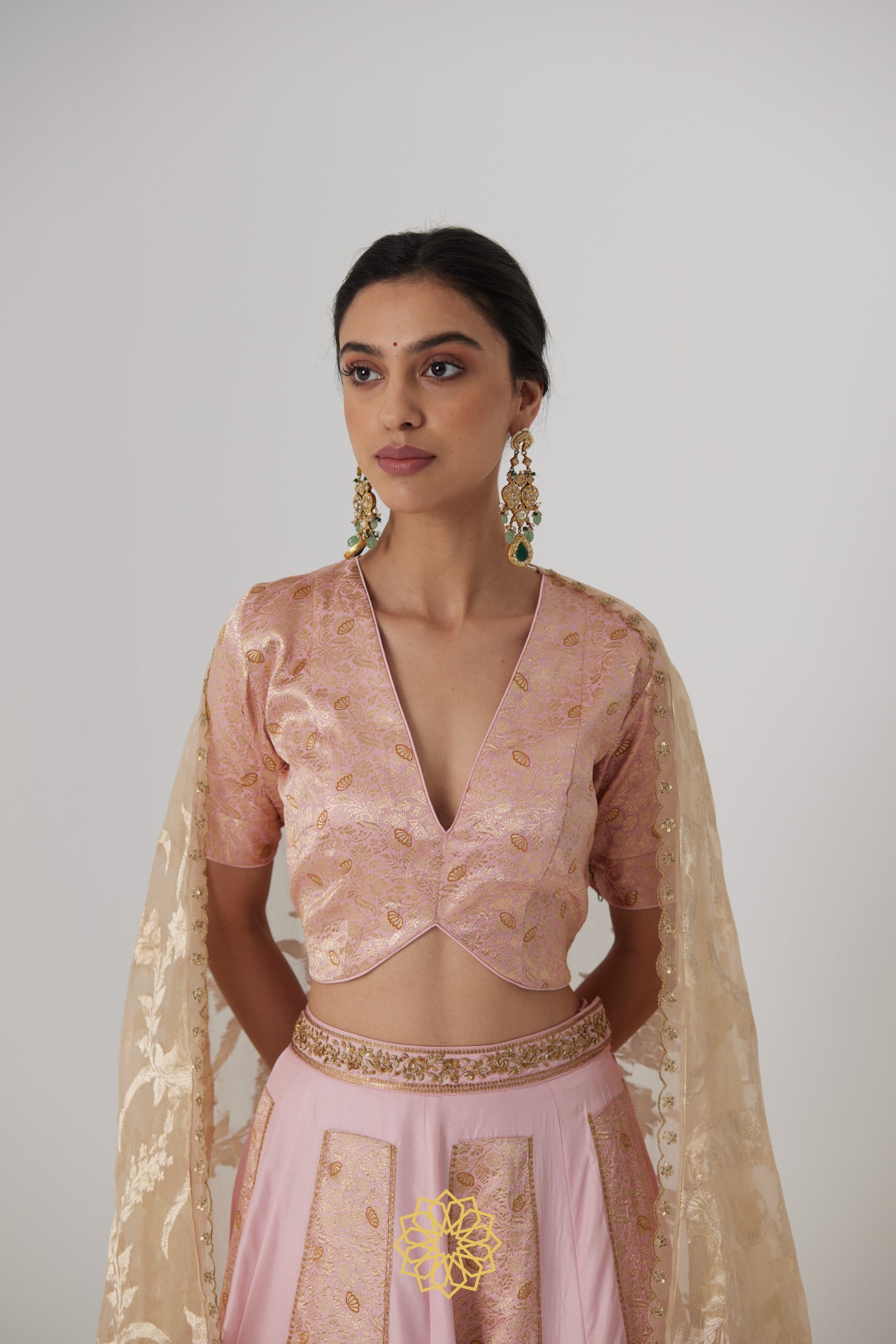 Aachal - Soft pink handcrafted panelled benarasi silk brocade and pure silk lehenga with soft pink benarasi silk brocade blouse