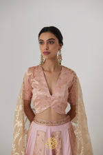 Load image into Gallery viewer, Aachal - Soft pink handcrafted panelled benarasi silk brocade and pure silk lehenga with soft pink benarasi silk brocade blouse
