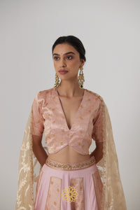 Aachal - Soft pink handcrafted panelled benarasi silk brocade and pure silk lehenga with soft pink benarasi silk brocade blouse