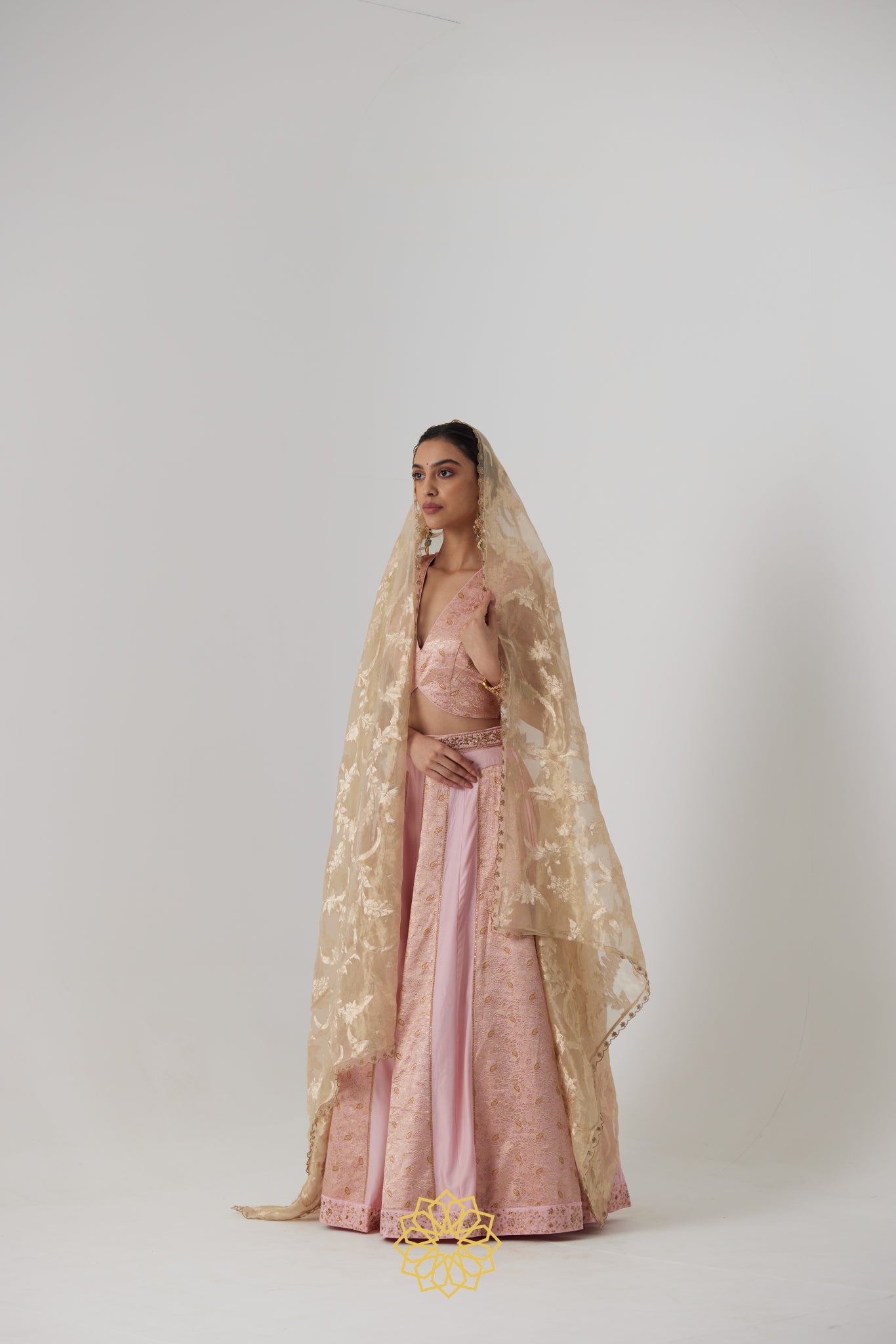 Aachal - Soft pink handcrafted panelled benarasi silk brocade and pure silk lehenga with soft pink benarasi silk brocade blouse