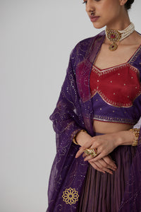 Dipta - Deep purple handcrafted tissue chanderi lehenga with purple-pink gajji silk blouse
