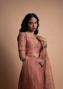 Tira- Peach Chanderi Silk Blouse and Tonal Tissue Chanderi Lehenga with Organza Silk Panels Paired with Banarasi Silk Tissue Dupatta in Handcrafted in Ari-Zardozi Embroidery and Gota Appliques