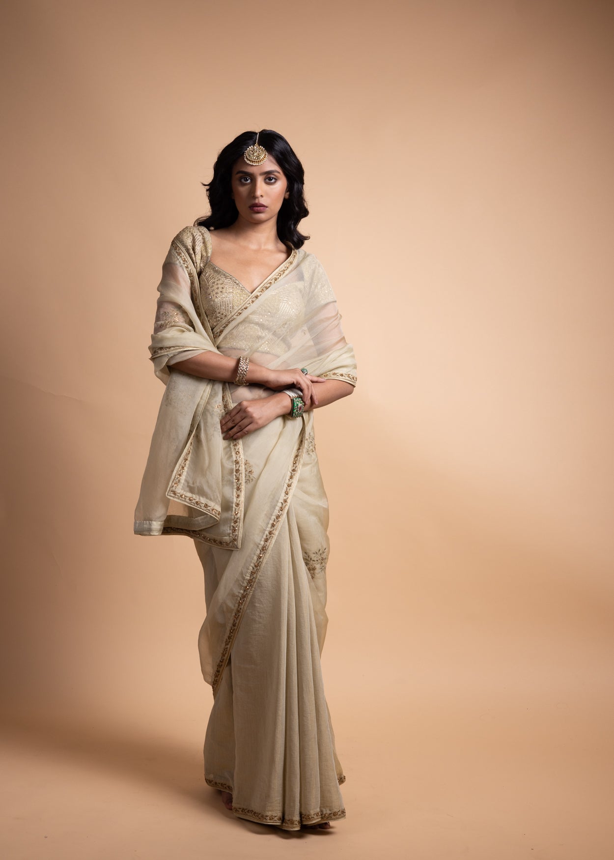 Ahana - Light Green Organza Saree Paired with a Chanderi Blouse and Adorned with Handcrafted Ari-Zardozi Embroidery