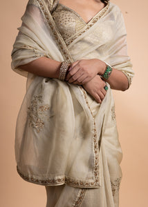 Ahana - Light Green Organza Saree Paired with a Chanderi Blouse and Adorned with Handcrafted Ari-Zardozi Embroidery