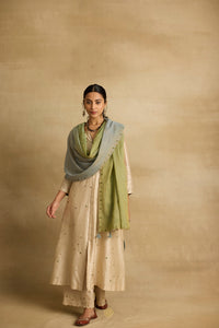 Paakhi - Almond chanderi silk A line kurta, with dual tone tissue chanderi dupatta, hand crafted ari-zardosi embroidery