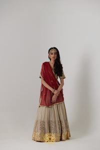 Kashvi - A soft gold benarasi handcrafted silk tissue lehenga and benarasi silk tissue blouse