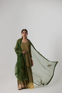 Nirja - Sage green banarasi silk handcrafted tissue kurta with banarasi silk tissue sharara